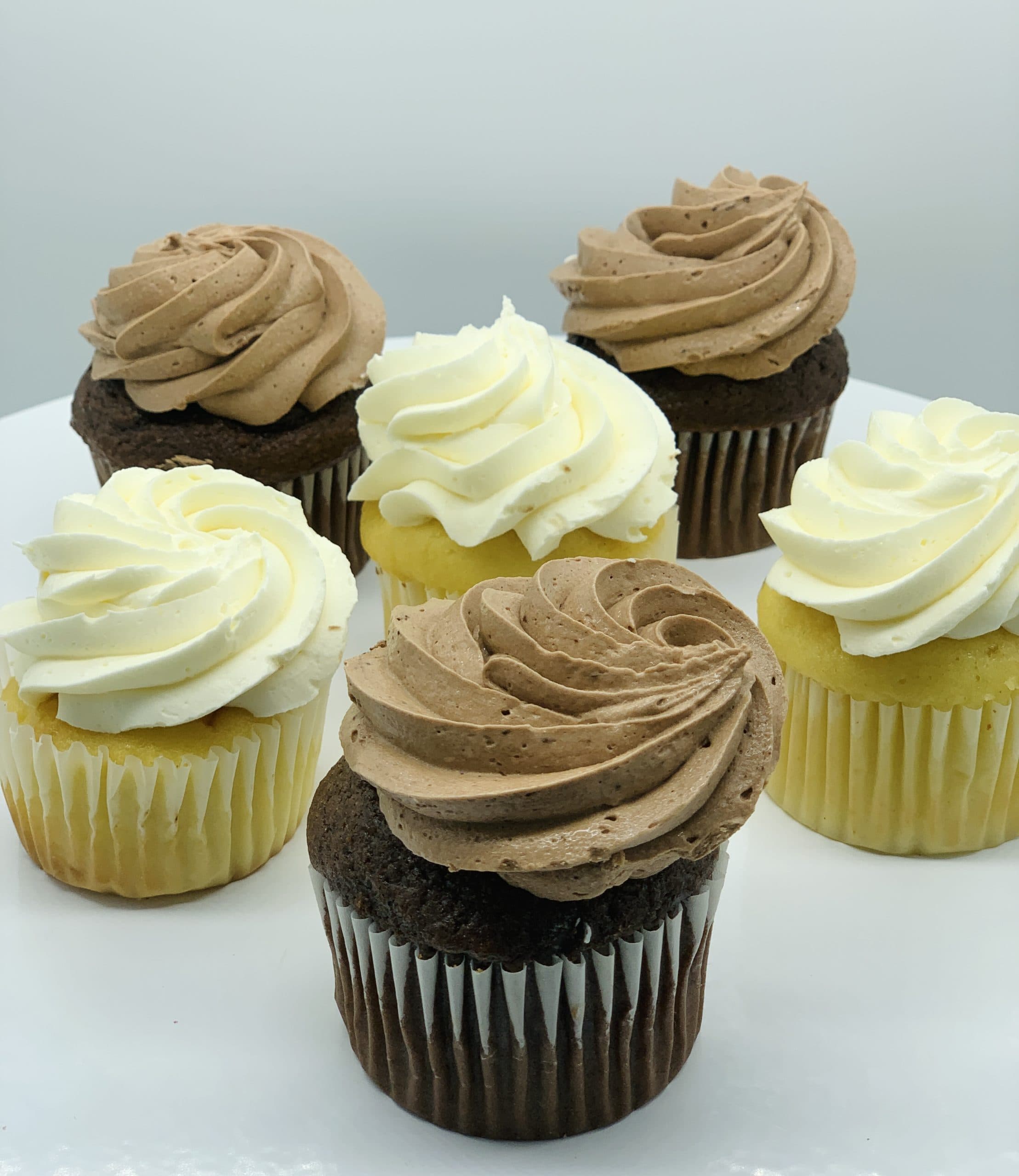 Iced Cupcake - Assorted