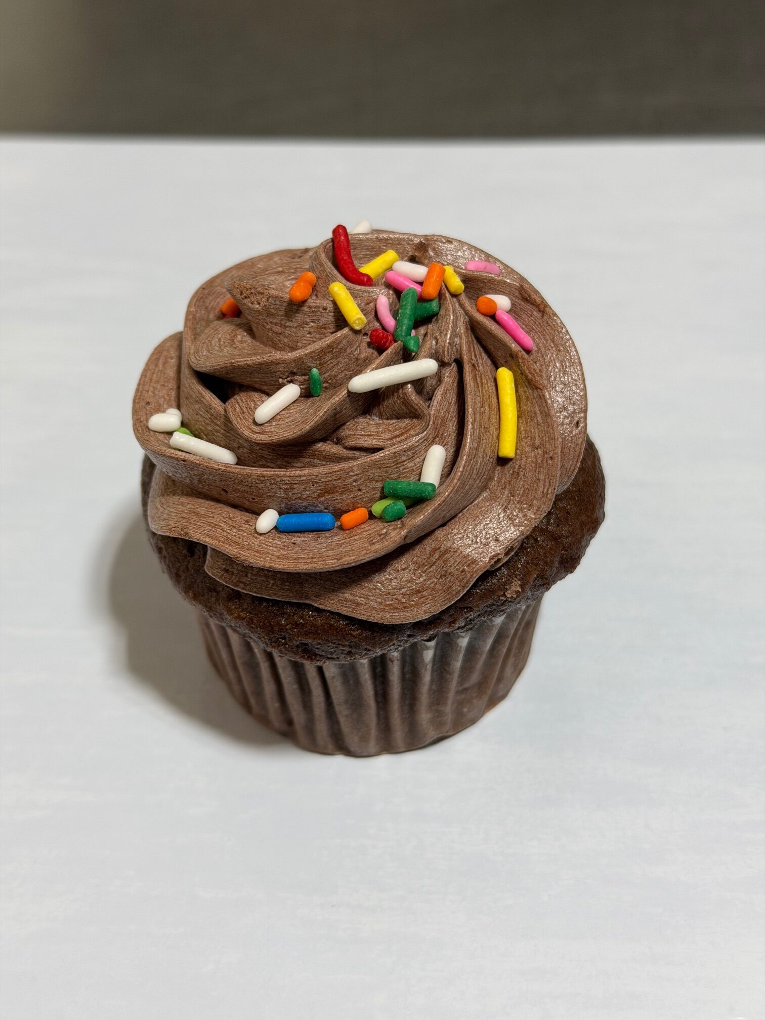 Chocolate Iced Cupcake With Sprinkles